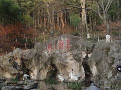 -东庐山观音寺