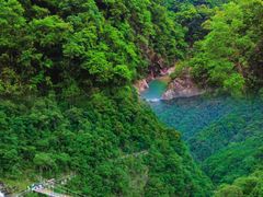 -九龙江国家森林公园