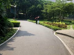 -晓港公园