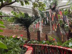 -正佳雨林生态植物园