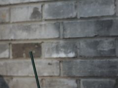 -BE YOLO必有乐&小红帽三明治