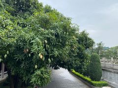-广东圆玄道观
