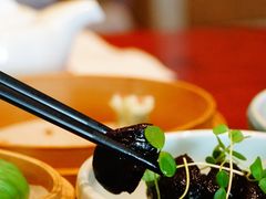 虾籽卤香菇-扬州香格里拉·香宫中餐厅