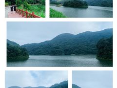 -广州市石门国家森林公园