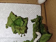 -成都仁和新城购物中心