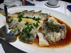 肉汁蒸东海大黄鱼-炳胜品味(海印总店)