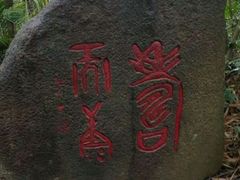 -呀诺达热带雨林