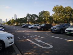 -东方体育中心·停车场