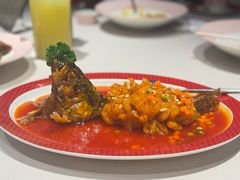 松鼠黄鱼-圆苑(兴国路店)