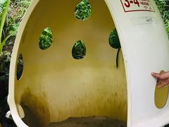 -100蛋泥浆浴