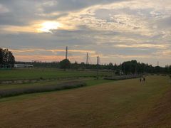 -臻鲜燕海鲜融合餐厅(金陵style店)