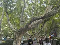-金原鸭血粉丝汤·汤包·脆皮烤鸭(南京博物院店)