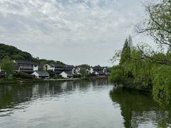 -鲁镇