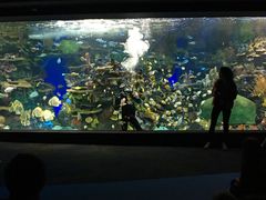 -瑞普利水族馆