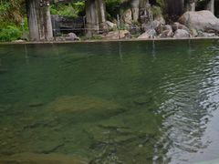 -众神白水涧景区