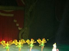 -珠海横琴长隆《卡卡虎奇遇记》