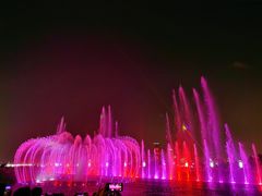 -秋水广场音乐喷泉