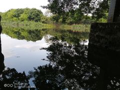 -小洲村