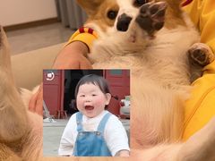 -创凡宠物医院·骨专科  猫科中心(西乡分院)
