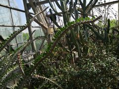 -南山植物园