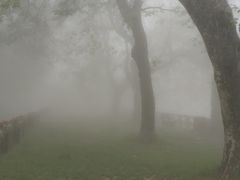 -庐山风景区花径公园