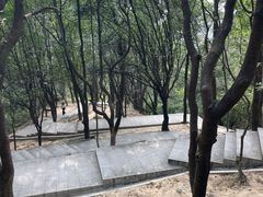-火炉山森林公园