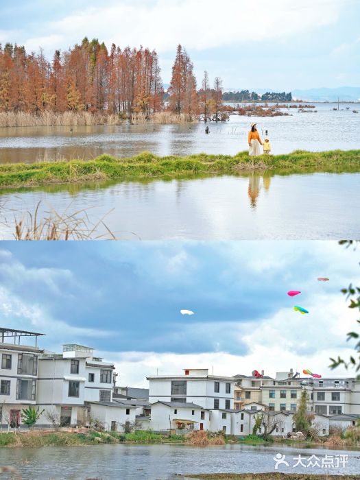 海埂大坝图片