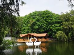 -深圳野生动物园