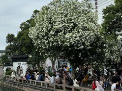 -琵琶语评弹茶馆(苏州平江路店)