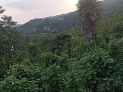 -西游洞风景区