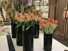-顺峰(农展馆店)