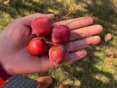 -春晖园度假酒店温泉