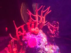 -沈阳海洋探索中心