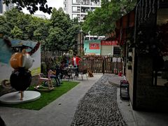 -柴犬高等学院·狗咖·柴犬售卖·宠物训练