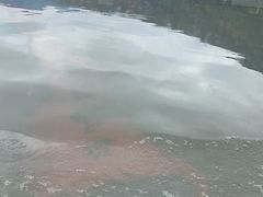 -西昌邛海湿地