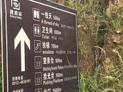 -波浪谷