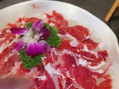 -杨肥肠火锅大排档(火车站花园店)