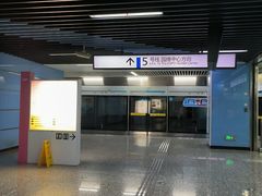 -大龙山(地铁站)