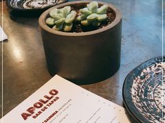 -Apollo·西班牙小酒馆(安福路店)