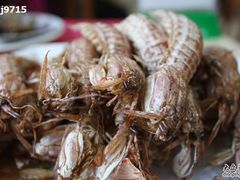 椒盐虾虎2-海岛渔村大酒店(云霄路店)