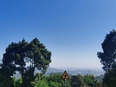 -黄埔油麻山森林公园