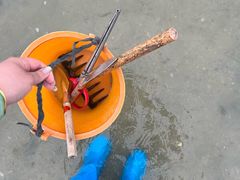 -北海金海湾红树林生态旅游区