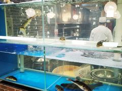 水产区-红叶日料·放题·海胆·定食(星海店)