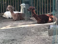 -兰陵国家农业公园