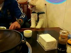 -徐记老店天麻火腿鸡(犀浦店)
