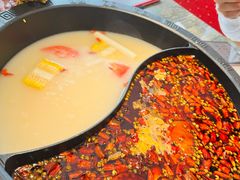 -销魂美蛙鱼头火锅(上海首店)