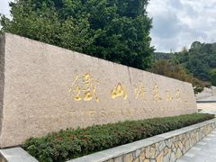 -铁山坪森林公园