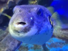 -太平洋海底世界