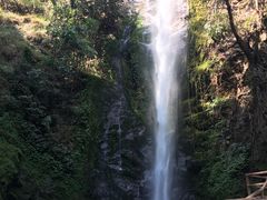 -莫里热带雨林景区
