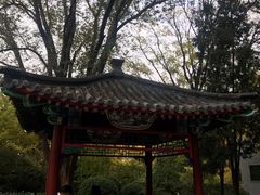 -后海公园